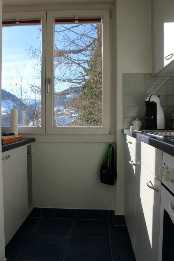 Sonnige, grosszügige Einzimmerwohnung im Zentrum Adelboden Exterior foto