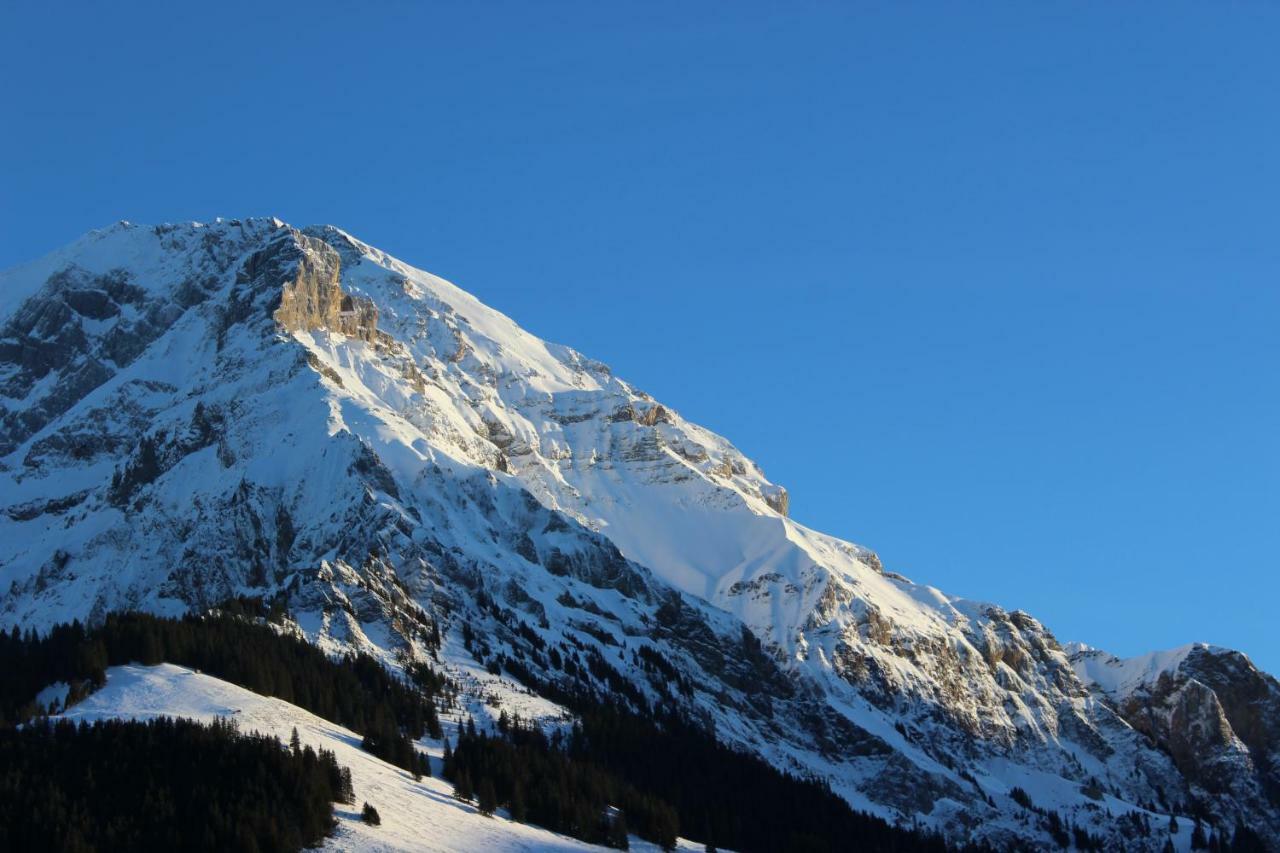 Sonnige, grosszügige Einzimmerwohnung im Zentrum Adelboden Exterior foto