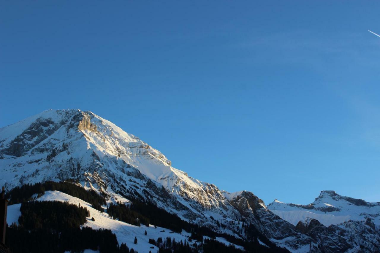 Sonnige, grosszügige Einzimmerwohnung im Zentrum Adelboden Exterior foto